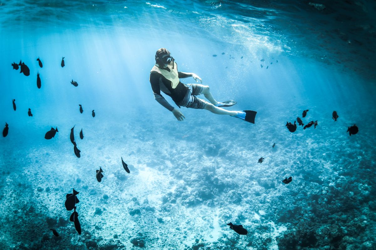 Spot Snorkeling Terumbu Karang Alami